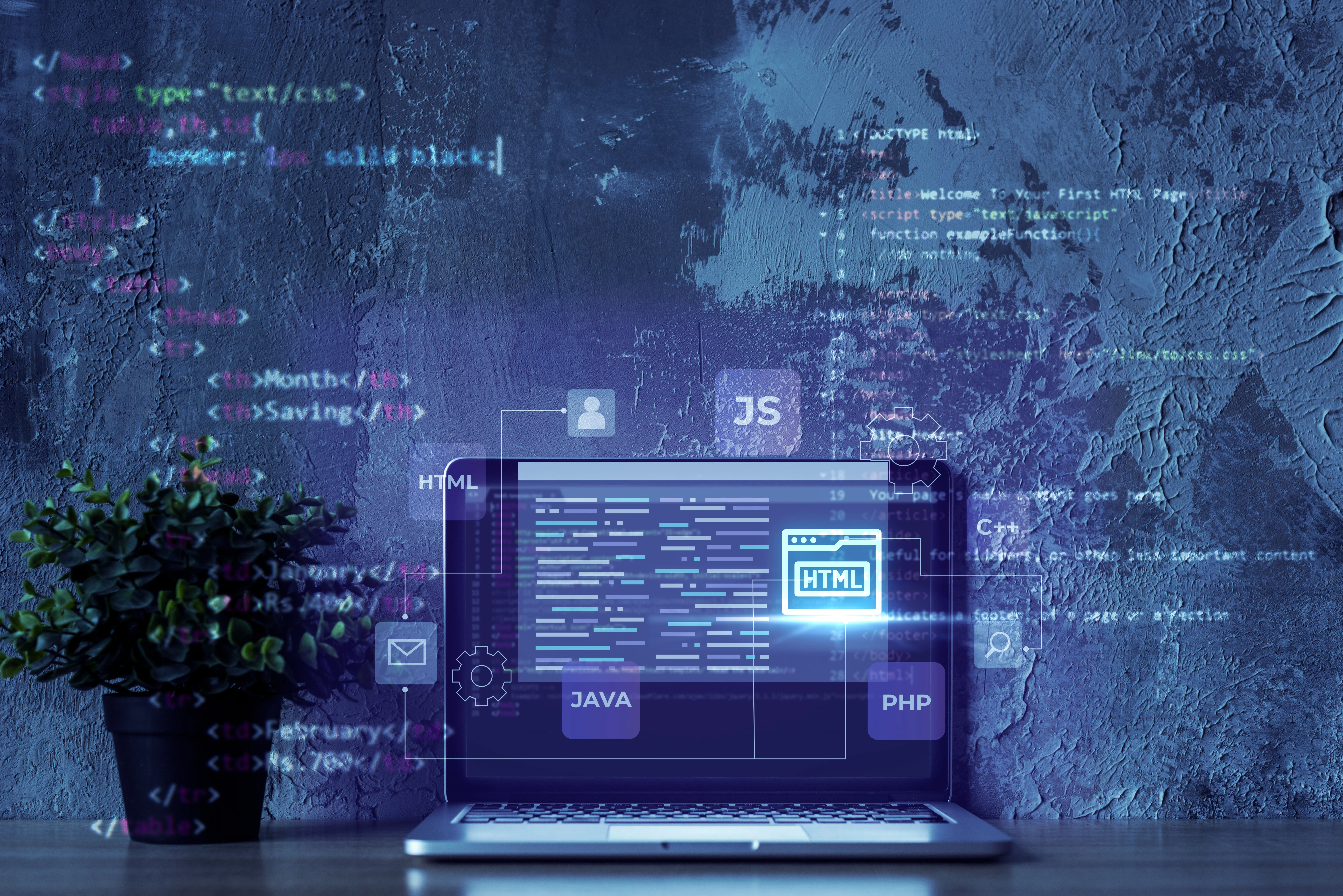 Website & Mobile App Development